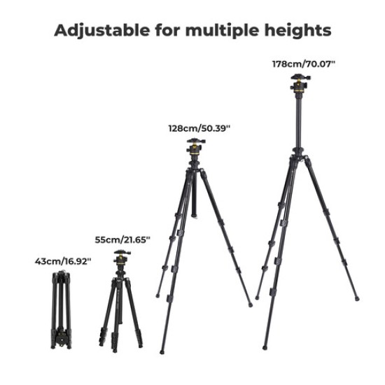 K&F Concept K234A3 Magnesium Travel Tripod with BH-36 Ball Head