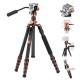 K&F Concept Carbon Fiber Camera Tripod with Hydraulic Head